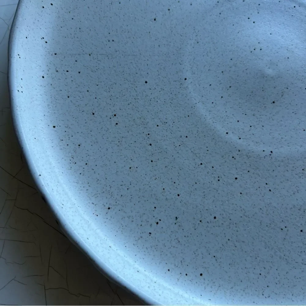 Sango stoneware plate with a speckled glaze. speckled design rustic, farmhouse